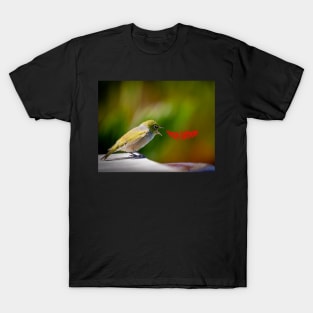 Happy Birthday greeting from cute little bird T-Shirt